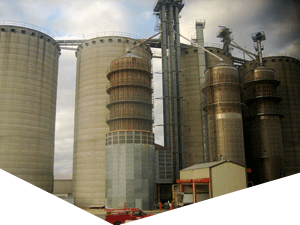 电话轰在线轰炸免费